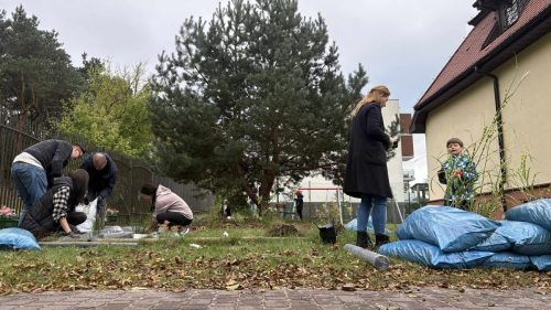 Sadzenie roślin z firmą Solvay