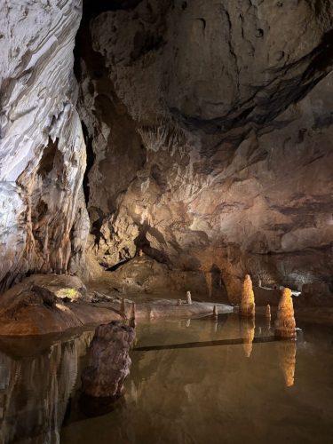 0DBB6695-1B8F-4582-A1FC-009E8B457DE2