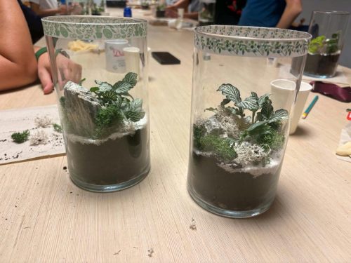 256cd181-d2ee-49c8-aedf-fe8c7408e7ea