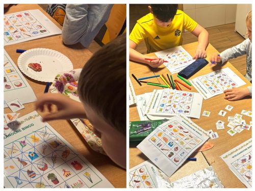 Zajęcia socjalizacyjne 3