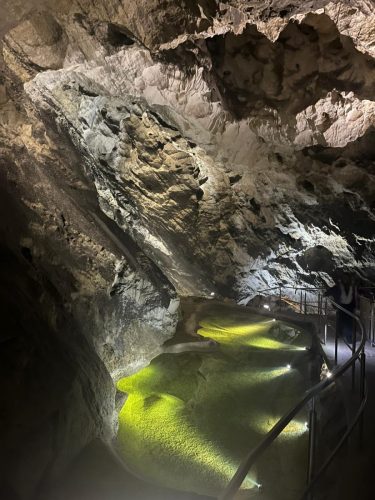 8f0789e1-180e-41f4-89fa-a94652375db2