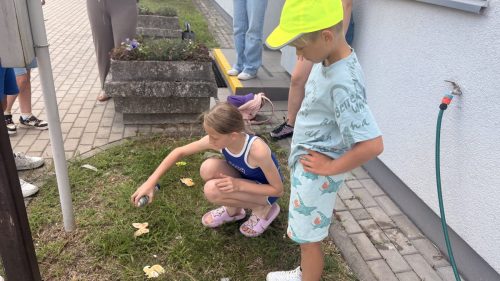 IMG 1750