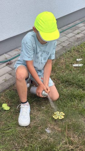 IMG 1754