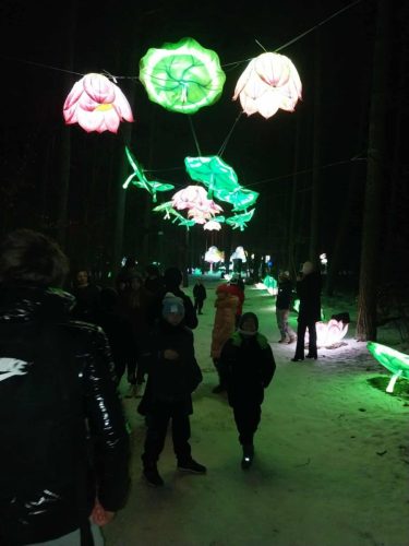 att.ZJ1GWg25iC1m43DwVWFvOfzPouaM6nFg6zxYo-gT06s