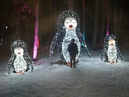 att.dqrpzeM0RPrjY0xCihZSgUgDMM0shSTBWI-Gat74caQ