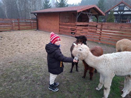 b9a7cd98-4bed-4f1a-984d-9f2d653e546c