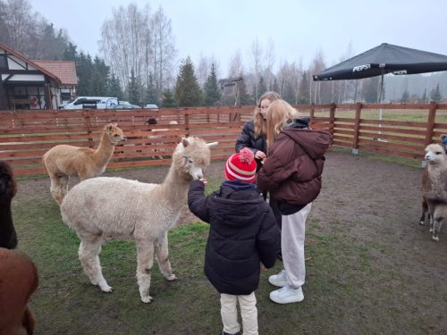 d417e095-3d75-4669-b65f-af09a7362c2c